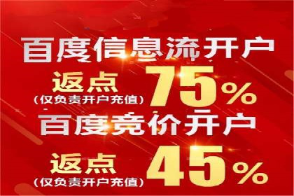 行业标杆：SEM托管公司案例解析